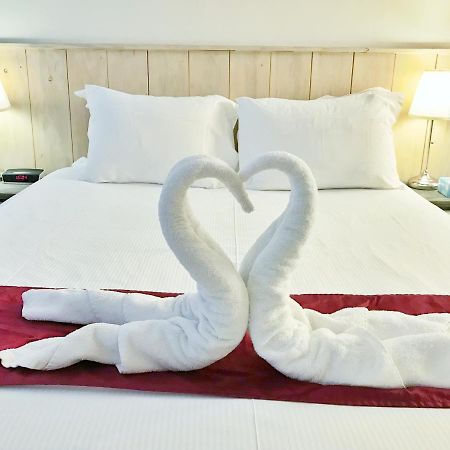 Amsterdam Home 외부 사진